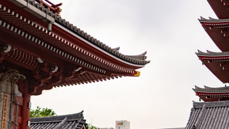 pexels photo 33434162