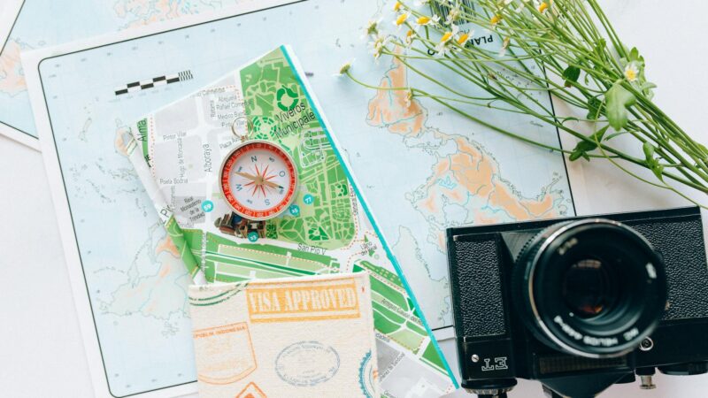 pexels photo 7235814