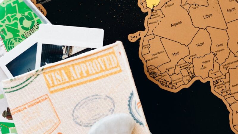 pexels photo 7235902