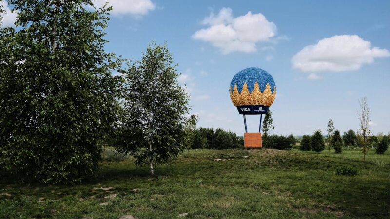 pexels photo 8809156